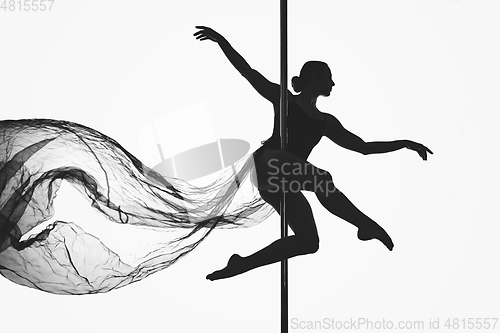 Image of beautiful pole dancer girl silhouette