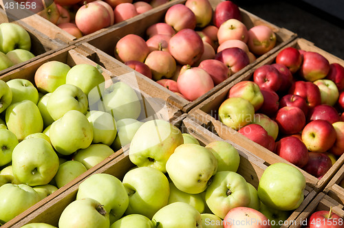 Image of Lots of apples