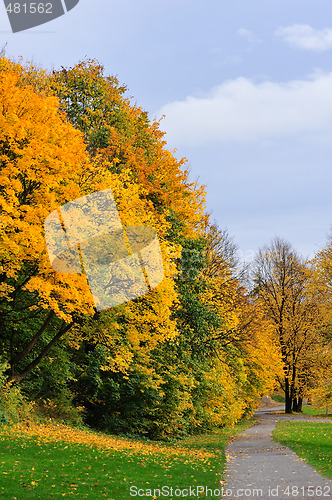 Image of Autumn scene