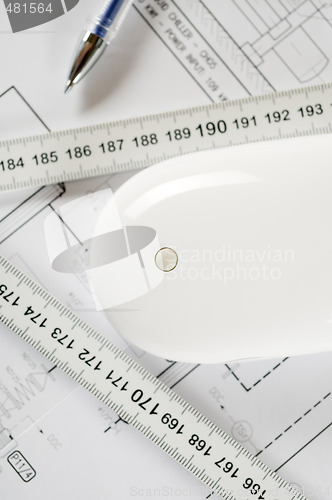 Image of mouse and ruler