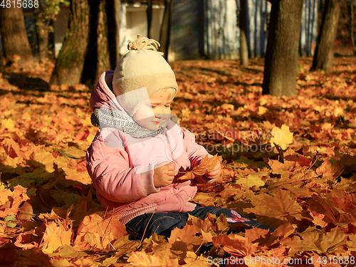 Image of baby plays with Autumn leaves in the park