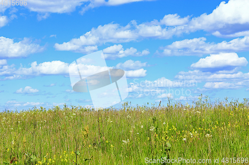 Image of summer with field of grass and blue sky