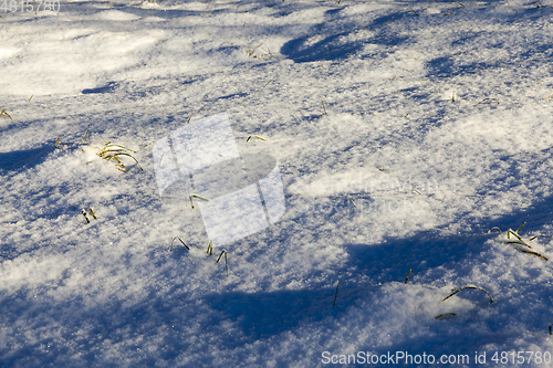 Image of Snow drifts in winter