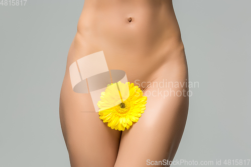 Image of beautiful woman naked body with flower between legs 