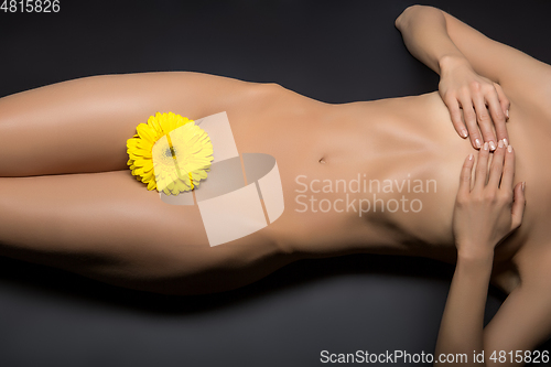 Image of beautiful woman naked body with flower between legs 