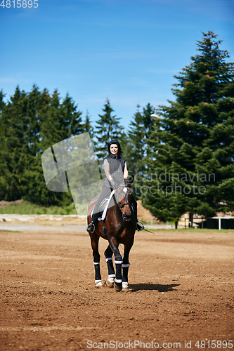 Image of beautiful girl with horse