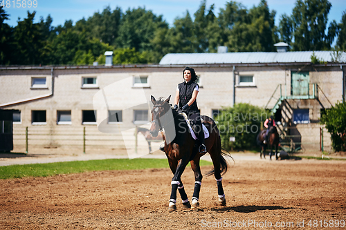 Image of beautiful girl with horse