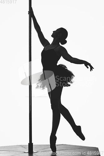 Image of beautiful pole dancer girl silhouette