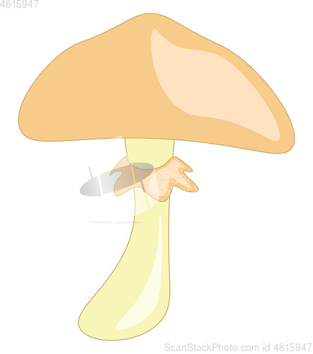 Image of An umbrella shaped fungi vector or color illustration