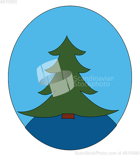 Image of A spruce tree/Xmas tree vector or color illustration