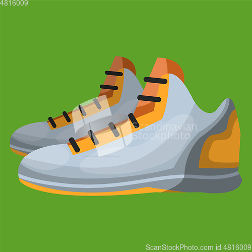 Image of Sports Shoe vector color illustration.