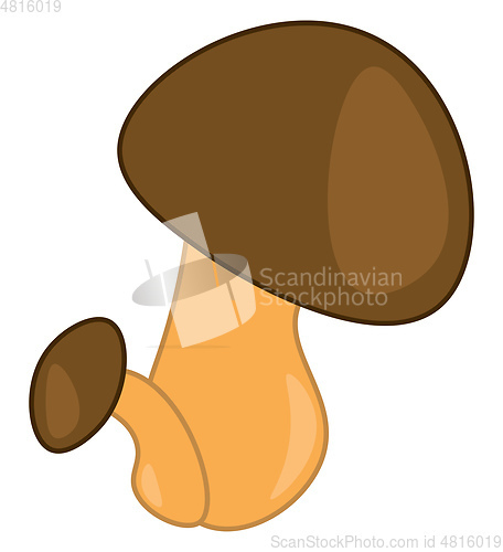 Image of A mushroom plant with a dark brown cap and a light brown stem an