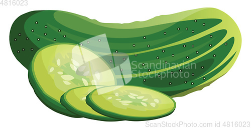 Image of Green cucumber and slices cartoon vegetable vector illustration 