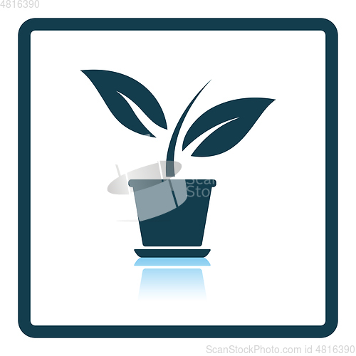 Image of Plant in flower pot icon