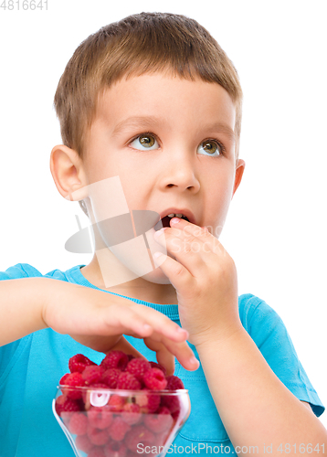 Image of Little boy with raspberries