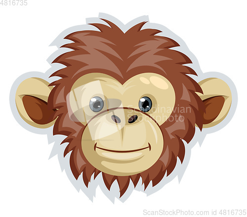 Image of Monkey, vector color illustration.