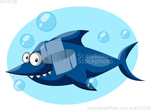 Image of Blue Shark, vector color illustration.