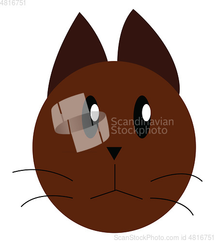 Image of Brown cat with mustaches vector or color illustration