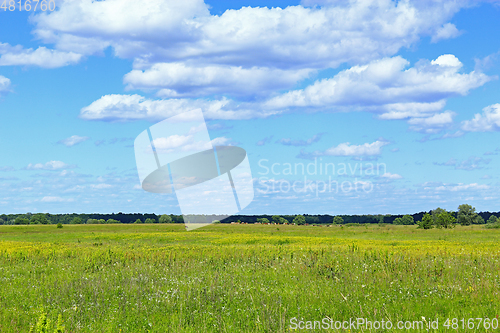 Image of summer with field of grass and blue sky