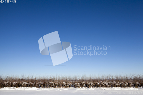 Image of Snowdrifts in winter