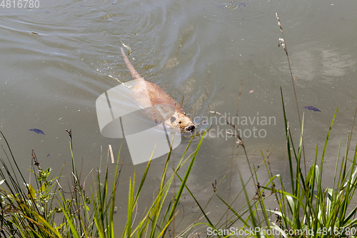 Image of Water in the lake