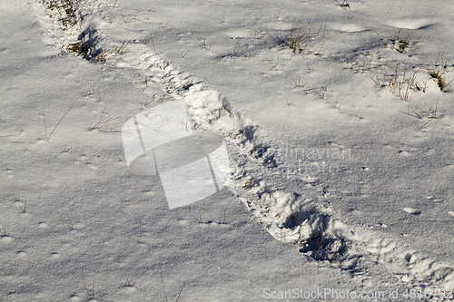 Image of Snow drifts in winter