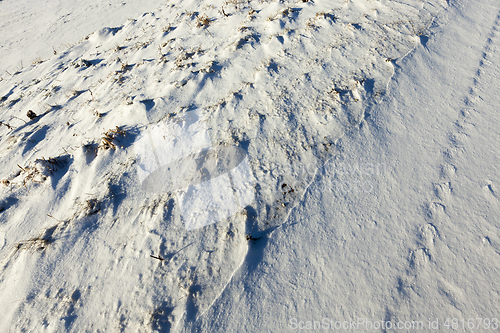 Image of land under the snow