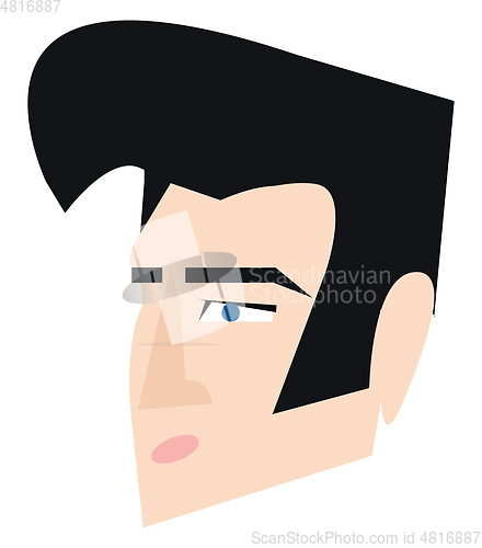Image of Elvis Presley hair style vector or color illustration