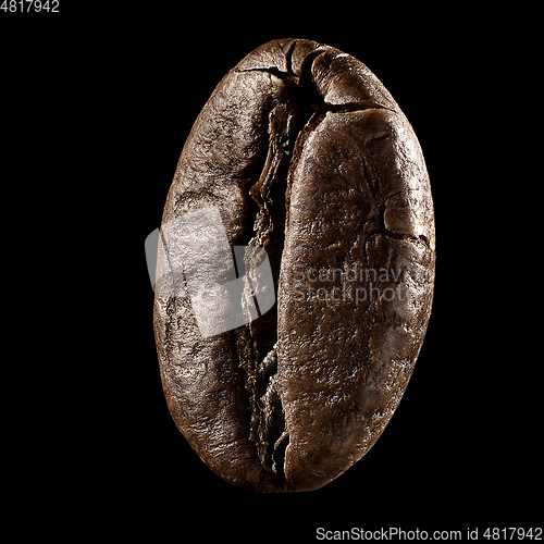 Image of Macro shot of seed on isolated black background, close-up