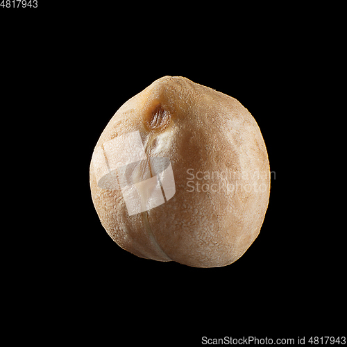 Image of Macro shot of seed on isolated black background, close-up