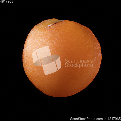 Image of Macro shot of seed on isolated black background, close-up