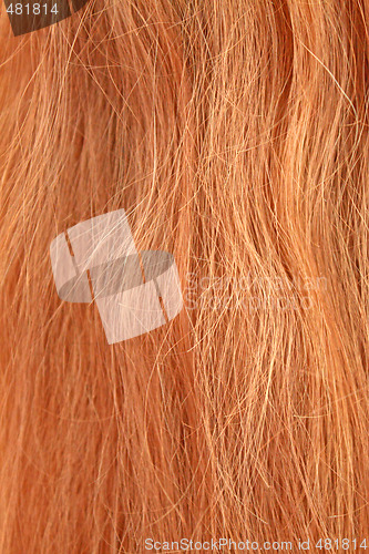 Image of Brown hair