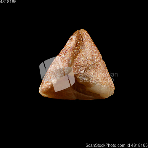 Image of Macro shot of seed on isolated black background, close-up