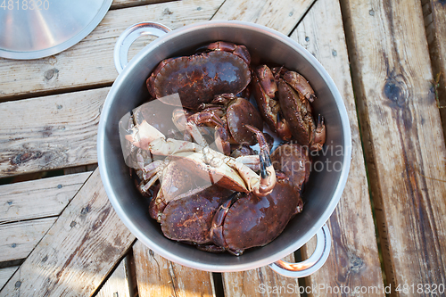 Image of pan full of crabs on wooden table