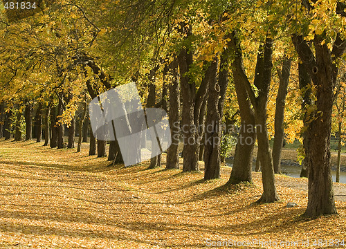 Image of autumn