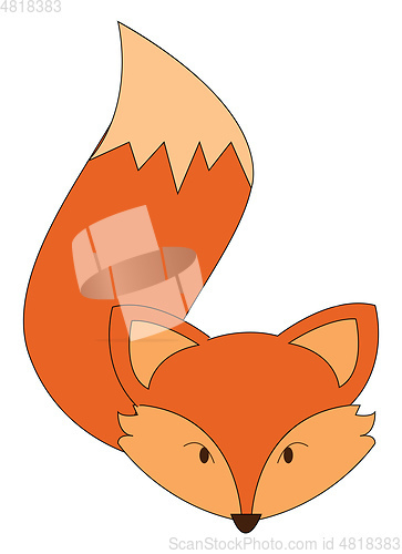 Image of Orange and yellow fox vector illustration on white background 