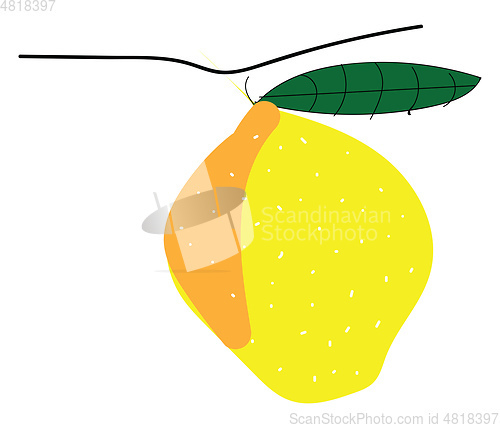 Image of Yellow lemon with leafillustration vector on white background