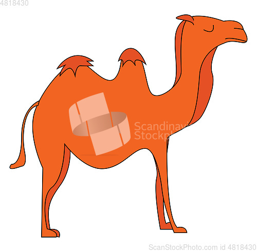 Image of Silhouette of a camel vector or color illustration