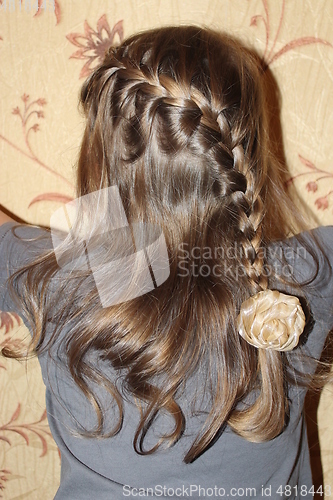 Image of young girl with nice braids back view