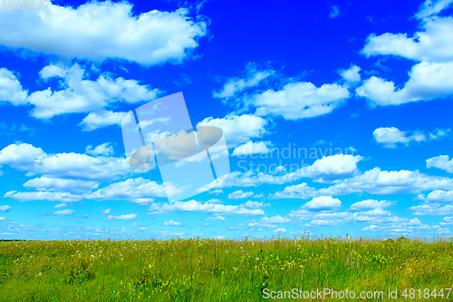 Image of summer meadow and blue sky with white clouds.