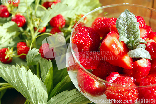 Image of strawberries in a bowl and strawberries bunches