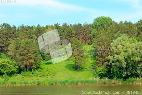 Image of forest and river