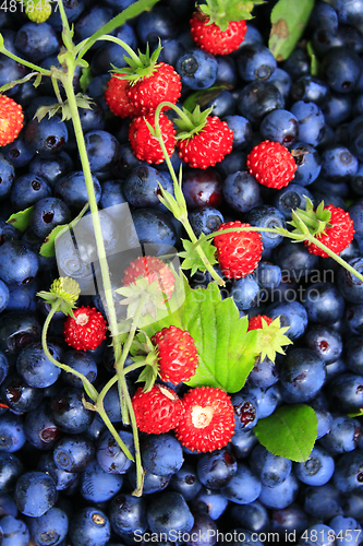 Image of bilberries and wild strawberries
