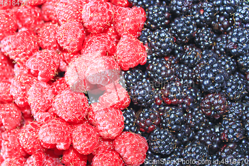 Image of blackberry and red raspberry
