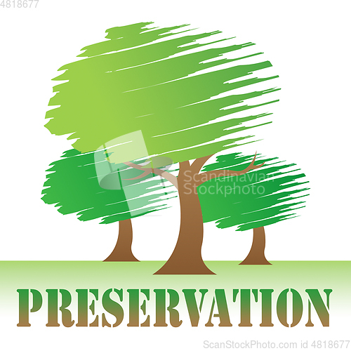 Image of Preservation Trees Shows Natural Forestation And Environment