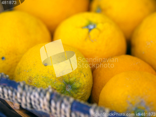 Image of oranges