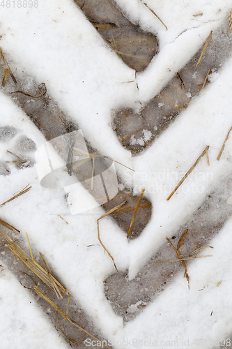 Image of Traces of the car on the snow