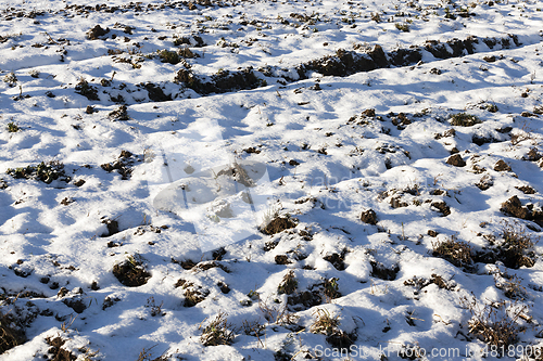 Image of Photo of snow, close-up