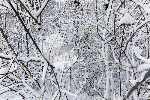 Image of Snow drifts in winter