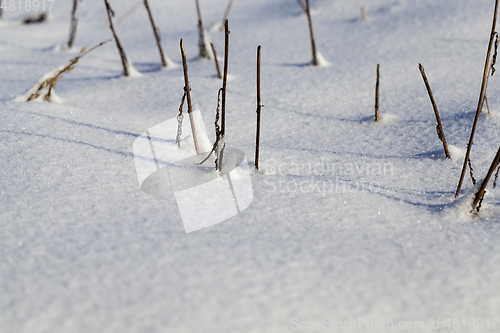 Image of Snow drifts in winter